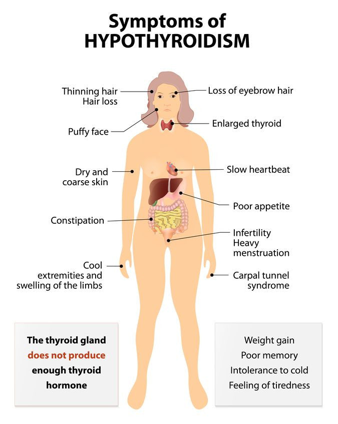 The Secrets Of Hypothyroidism